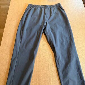 Fabletics The Don Pull On pant